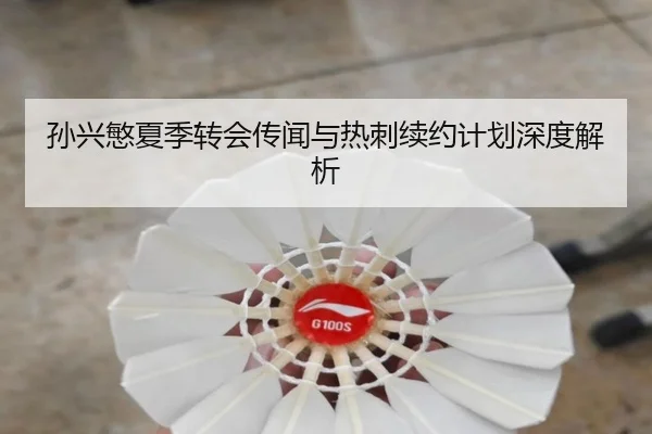 孙兴慜夏季转会传闻与热刺续约计划深度解析